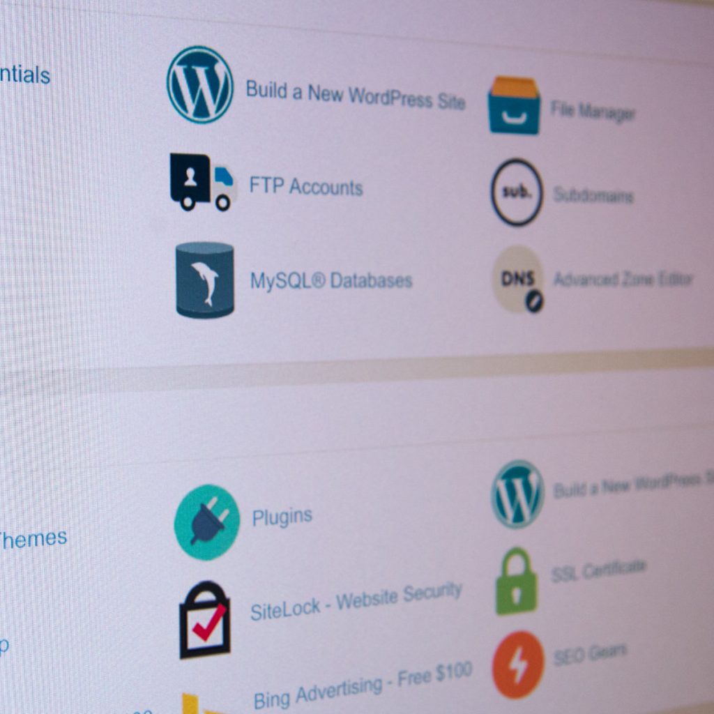 Website Hosting